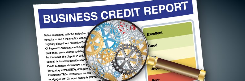 business-credit-reports